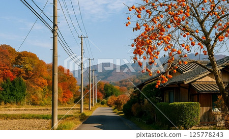 A country road in autumn with persimmons turning colors A country road in autumn with persimmons turning colors 125778243
