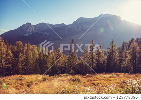 Mountain landscape on a sunny day. View from Grossglockner High Alpine Road. Austria, Europe Mountain landscape on a sunny day. View from Grossglockner High Alpine Road. Austria, Europe 125778350