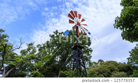 Spring at Minato Mirai Park 125778357