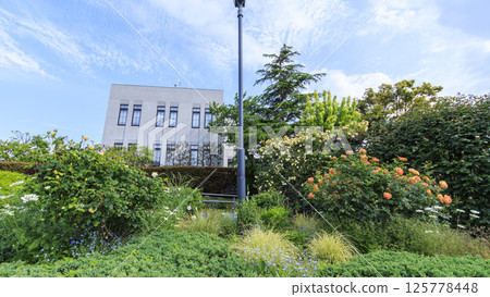 山手西洋建築的春天 125778448