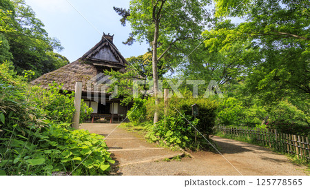 橫濱三溪園的春天 125778565