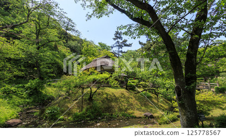 橫濱三溪園的春天 橫濱三溪園的春天 125778567