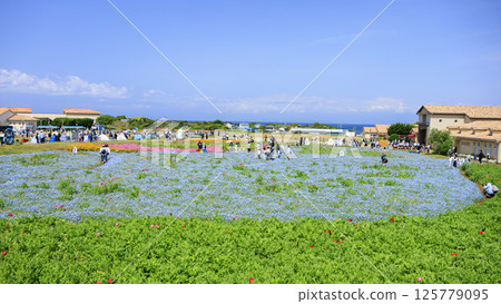 Spring at Soleil Hill in Yokosuka City - free admission 125779095