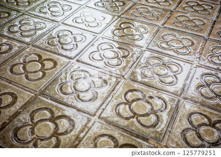 Traditional wet Barcelona pavement tiles with iconic floral design after rain" 125779251