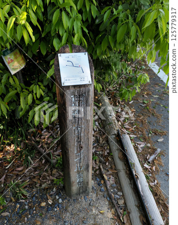 【京都步道識別集】東山22號（2025年） 125779317