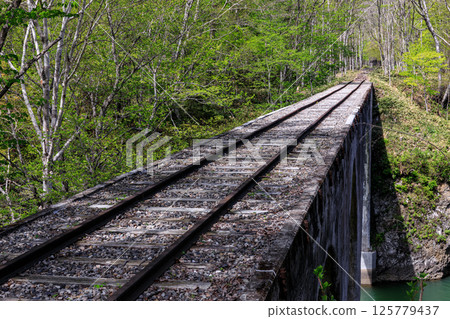 Remains of the Shihoro Line Third Otofuke River Bridge over the Otofuke River, Kamishihoro Town, Hokkaido [May] 125779437