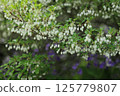 Tulle flowers that began to bloom 125779807