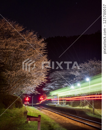 Cherry blossoms at night at Kareigawa Station 125780037