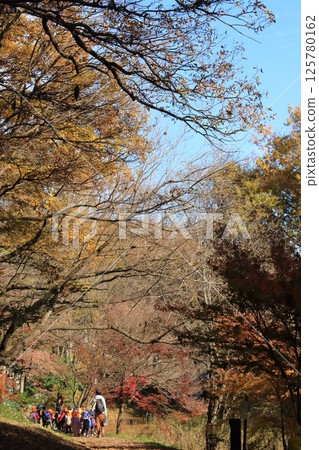 Autumn excursion Autumn excursion 125780162