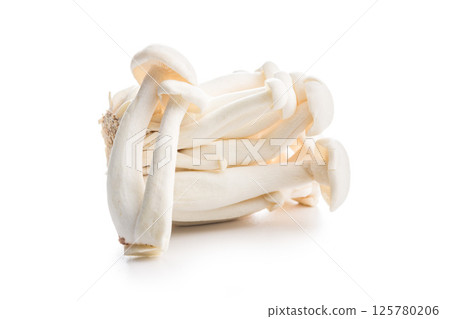 Raw white shimeji mushrooms isolated on white background. Raw white shimeji mushrooms isolated on white background. 125780206