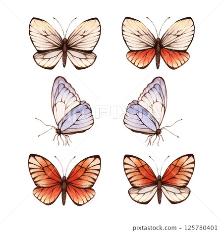 A set of beige, brown, orange butterflies. Hand drawn light color watercolor illustration. Isolated on white background. For clip art greeting cards invitation label package 125780401