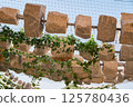 A stone object covered with a net 125780436