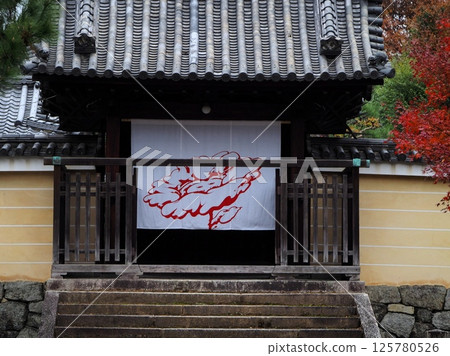 Autumn mountain gate with beautiful autumn leaves "Japanese style image" (Kyoto) 125780526