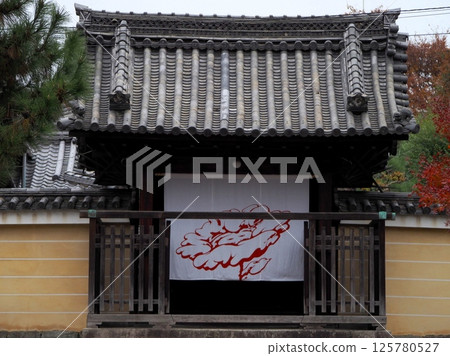 Japanese-style gate and autumn leaves "Japanese-style image" (Kyoto) 125780527