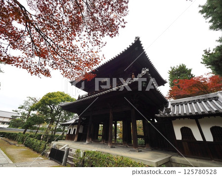 被紅葉包圍的寺廟「日式形象」（京都） 125780528