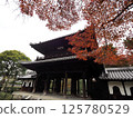 Kenninji Temple's mountain gate and maple leaves "Japanese style image" (Kyoto) 125780529