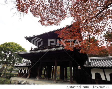 建仁寺的山門與楓葉「日式意象」(京都) 建仁寺的山門與楓葉「日式意象」(京都) 125780529
