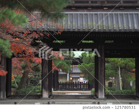 被紅葉包圍的山門：「日式風格」（京都） 125780531
