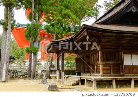 World Heritage Site Mount Koya: Konpon Daito and Aizen-do Hall, Danjo Garan, Wakayama Prefecture 125780709