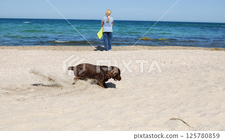 Sunday rest by the sea. Brown spaniel actively digs sand while his owner admires the seascape. 125780859