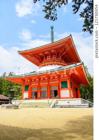 世界遺產高野山：和歌山縣團上伽藍的根本大東和藍天 125780954