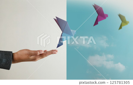 Peace, Hope concepts. World International Peace Day. Sustainable and Responsible Business, Hand Released a Paper Origami White Dove into the Sky 125781305