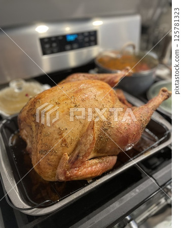 Close-Up of Turkey On Thanksgiving Day 125781323