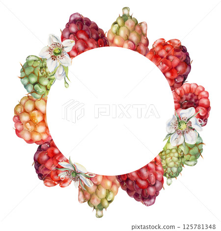 Raspberry berries flowers wreath in water splash, dew drops hand drawn in watercolor. Ripe garden dewberry cloudberry mulberry loganberry. Isolated circle frame. Fresh grocery, preserves recipe book Raspberry berries flowers wreath in water splash, dew drops hand drawn in watercolor. Ripe garden dewberry cloudberry mulberry loganberry. Isolated circle frame. Fresh grocery, preserves recipe book 125781348