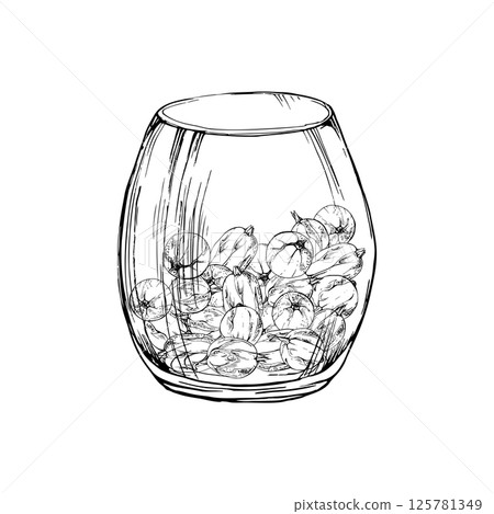 Gooseberry Currant berries served in glass hand drawn in vector ink, ripe picked harvest, lingonberry huckleberry juneberry. Isolated illustration. Dessert menu, home preserves cookbook, grocery store Gooseberry Currant berries served in glass hand drawn in vector ink, ripe picked harvest, lingonberry huckleberry juneberry. Isolated illustration. Dessert menu, home preserves cookbook, grocery store 125781349