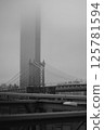 This is a black and white photograph capturing a bridge shrouded in fog 125781594