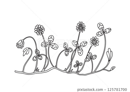 Line art botanical floral border isolated on white background. Hand drawn outline doodle clover plant with Flowers Stems Leaves vector illustration. Graphic design doodle element for Birthday Wedding Line art botanical floral border isolated on white background. Hand drawn outline doodle clover plant with Flowers Stems Leaves vector illustration. Graphic design doodle element for Birthday Wedding 125781700