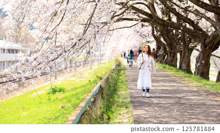 woman visit visit the cherry blossom in hitome senbonzakura in sendai, Japan	 125781884