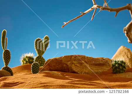A rough boulder with rugged and uneven surfaces with cracks running along the edges. Arid trees reaching up to the sky. Cacti with sharp thorns growing everywhere in the desert. Brick-red sand. A rough boulder with rugged and uneven surfaces with cracks running along the edges. Arid trees reaching up to the sky. Cacti with sharp thorns growing everywhere in the desert. Brick-red sand. 125782166
