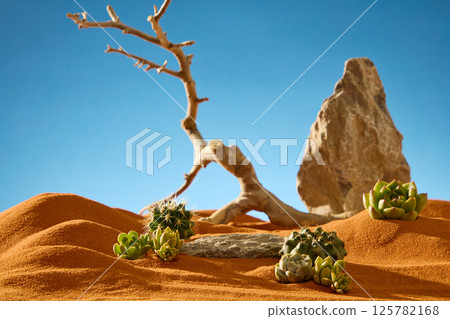 Dead tree with twisted trunk, barren and leafless, dry branches like sharp thorns. Rock with rough surface, standing upright, blurred in behind. Foreground with scattered clusters of succulents. 125782168