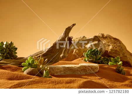 The ancient wooden branches are broken into many pieces, scattered in the desert. The blank stone is used to place the product. The cactaceae has the shape of flower petals, growing from the sand. 125782180