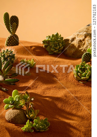 Composition of desert plants such as cacti, succulents, cereus jamacaru, etc. Clustered together and scattered on the desert. Sunlight shines in, the shadows of the objects fall on the dry sand. 125782183
