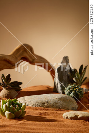The round rock has a fairly smooth surface, speckled with a few tiny holes and mottled dark marks, set on dry reddish-brown sand. Succulents are in the foreground, the rock and cactus in the behind. 125782186