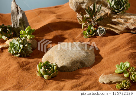 Aerial view of the pebbles, which have smooth, flat surfaces and many tiny holes. A variety of desert plants such as succulents and cacti grow around the pebbles and on the dry reddish-brown sand. Aerial view of the pebbles, which have smooth, flat surfaces and many tiny holes. A variety of desert plants such as succulents and cacti grow around the pebbles and on the dry reddish-brown sand. 125782189