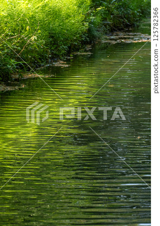 新鮮的水邊 新鮮的水邊 125782366