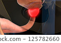 human urinary system prostate gland anatomy for medical concept 3D rendering 125782660