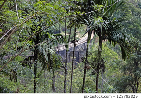 Historic Nine Arches Bridge in lush jungle near Ella, Sri Lanka, no people visible 125782829
