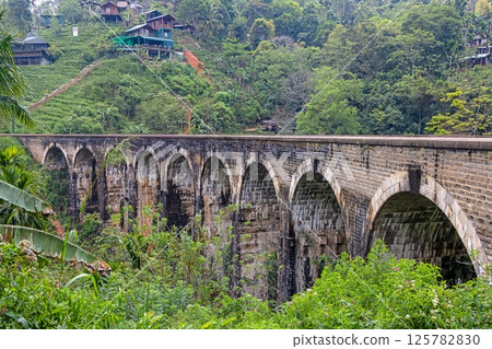 Historic Nine Arches Bridge in lush jungle near Ella, Sri Lanka, no people visible Historic Nine Arches Bridge in lush jungle near Ella, Sri Lanka, no people visible 125782830