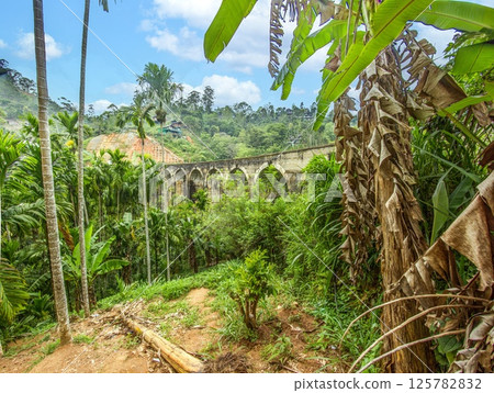 Historic Nine Arches Bridge in lush jungle near Ella, Sri Lanka, no people visible 125782832