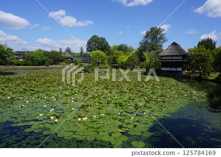 岡山縣津山市的移民日本庭園“Towa天堂” 125784169