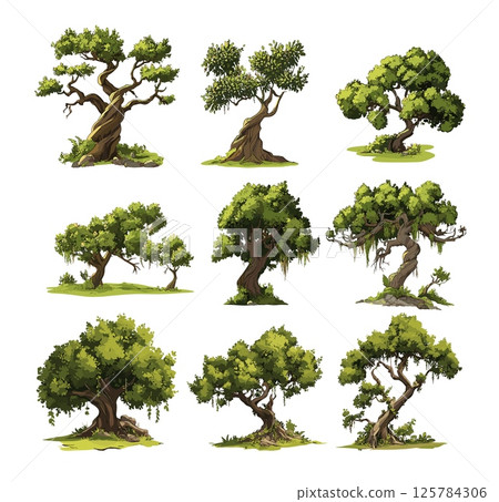 Woodland trees cartoon vector set. Arboreal deciduous oaks forest big wood shrub trunks plants, broadleaf lumber nature flora foliage botanics isolated illustrations on white backdrop 125784306