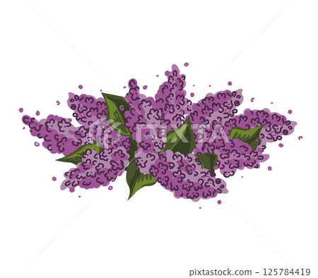 Lilac flowers wreath isolated illustration. Vector Lilac flowers wreath isolated illustration. Vector 125784419