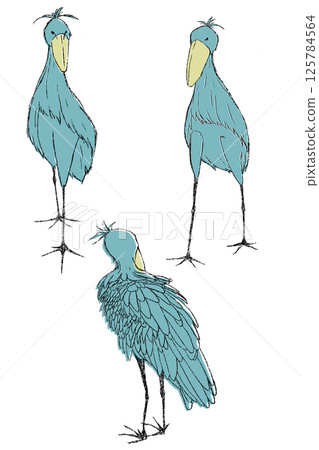 一隻站立的大鳥，鯨頭鸛。站立姿勢。鯨頭鸛。 125784564