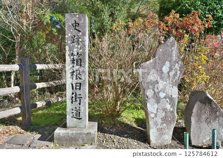 伊豆國的「山中城」眺望富士山:松井與圍牆 伊豆國的「山中城」眺望富士山:松井與圍牆 125784612