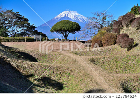 伊豆國的「山中城」眺望富士山：松井與圍牆 125784624