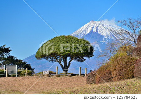 伊豆國的「山中城」眺望富士山：松井與圍牆 125784625